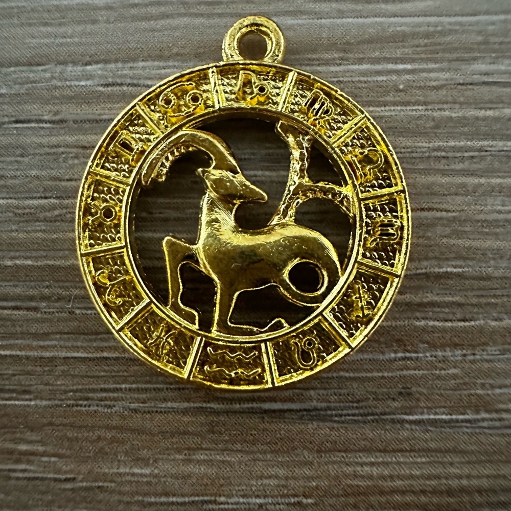 Capricorn Zodiac Sign Pendant. New